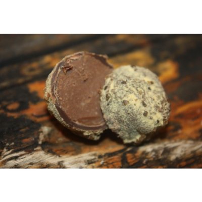 Chokladpralin Mango- Papaya